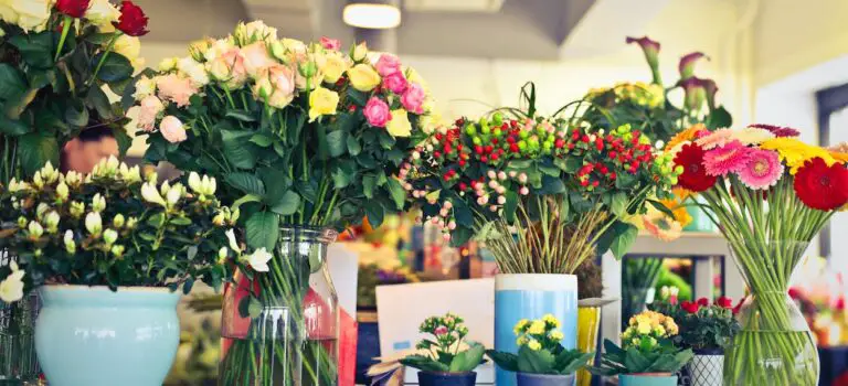 18 Ideas For Opening A Profitable Flower Shop