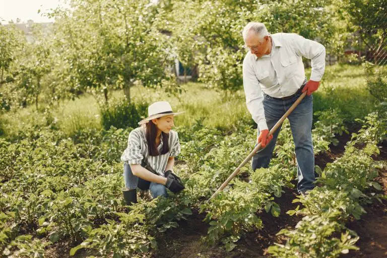 High Value Small Farm Crops